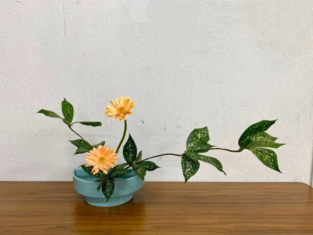 12华家欣risize.jpg