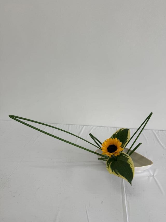 208田宮 咲侑risize.JPG