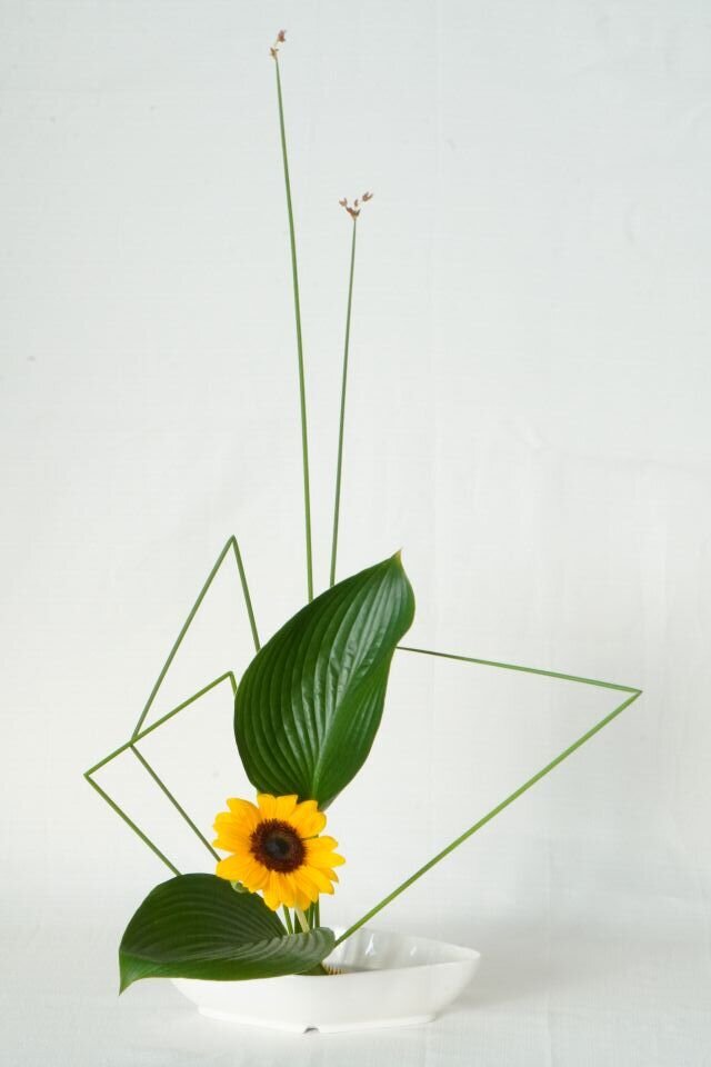 100坂手 心優risize.JPG