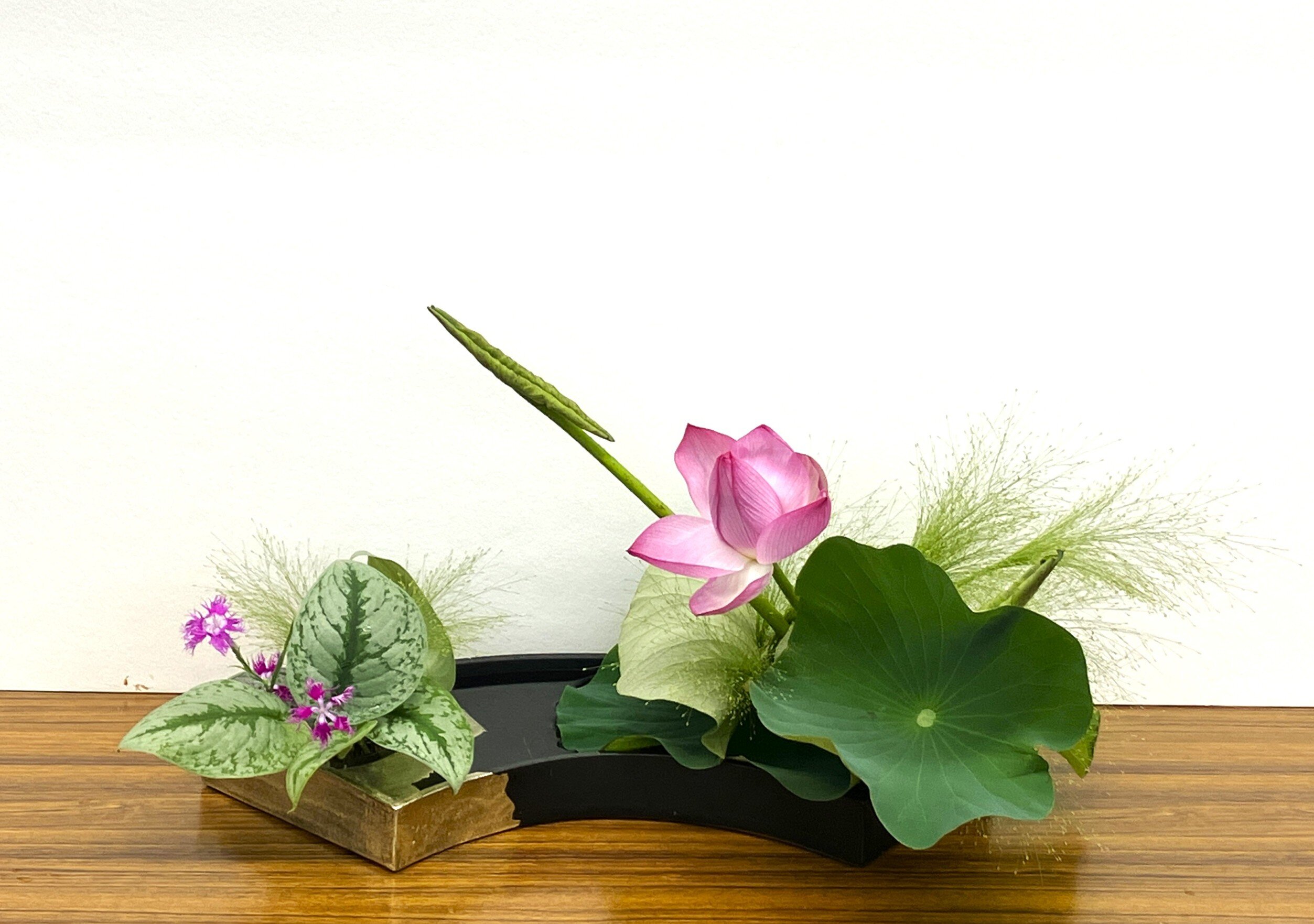 23青塚幸枝.JPG