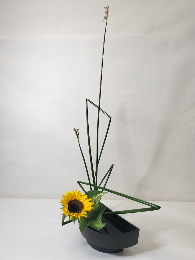 256梶ヶ谷 優花risize.jpg