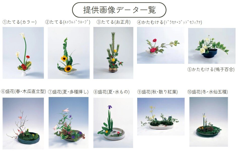 提供画像.jpg