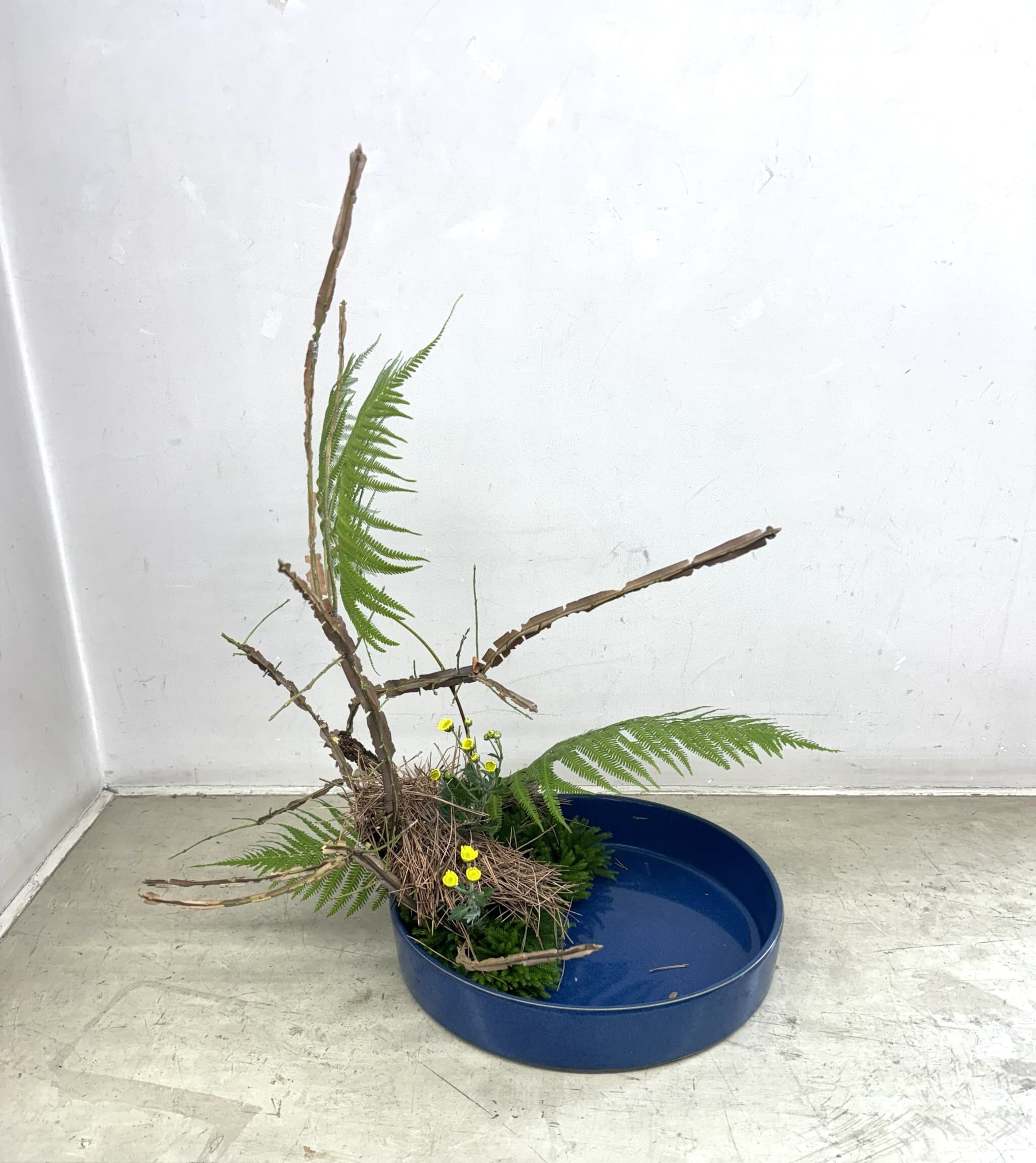 金森先生 吹き寄せの松葉 (1).jpg