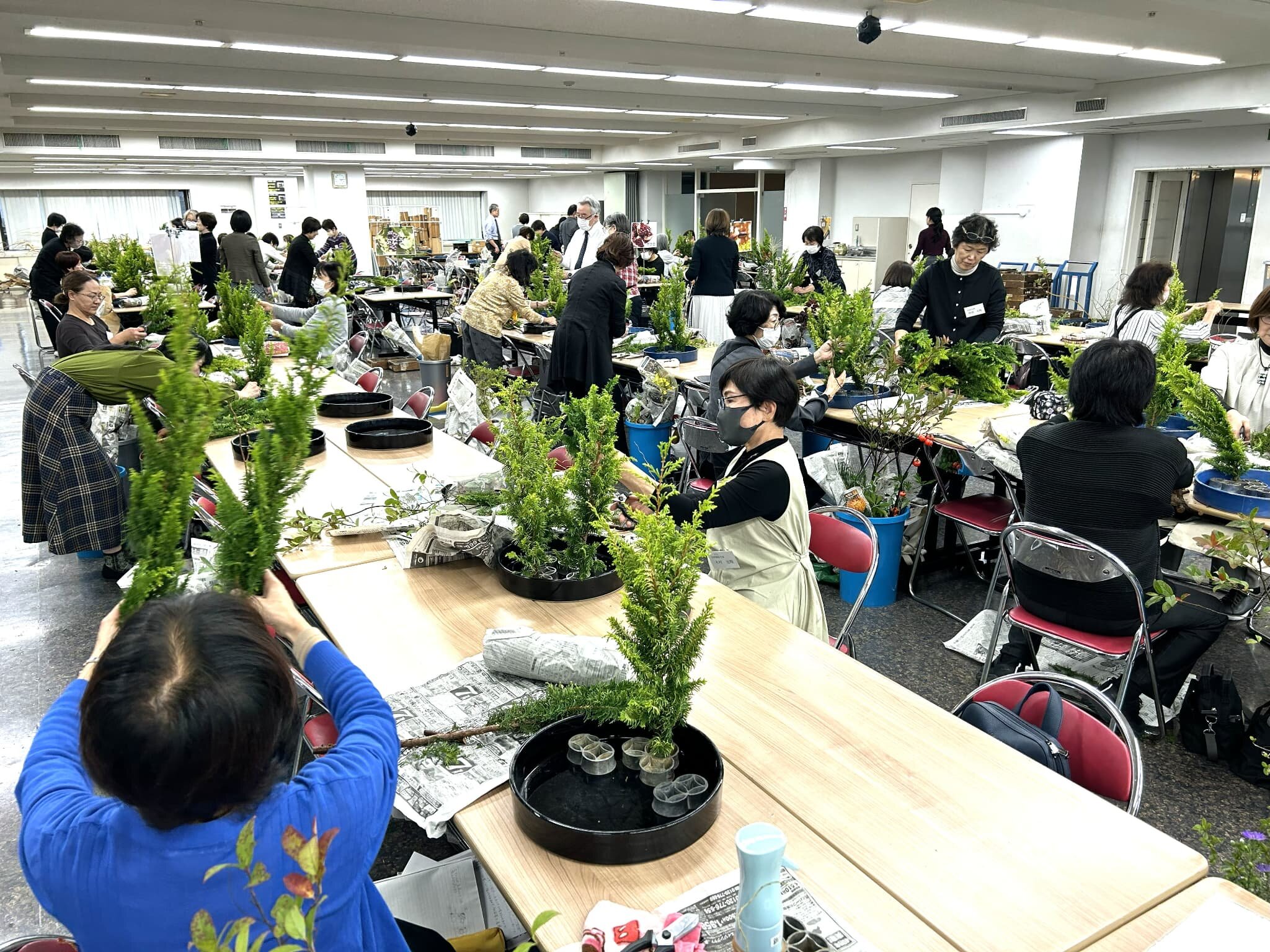 アセット候補 日伊庭 (1).jpg