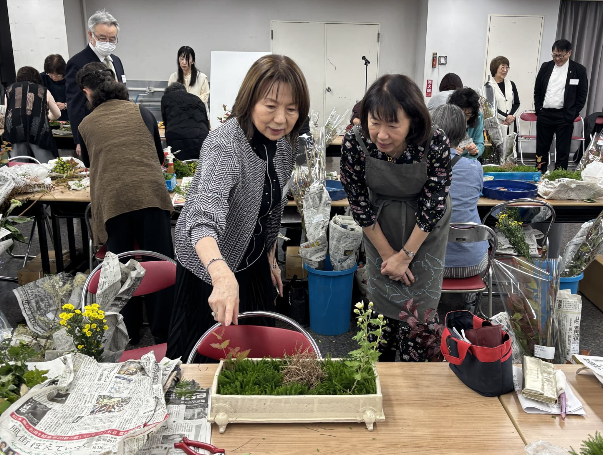 猫足しきまつば (1).jpg