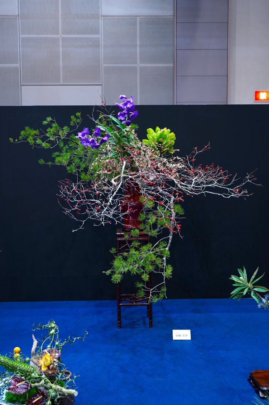 hiroshima_251025 (11).JPG