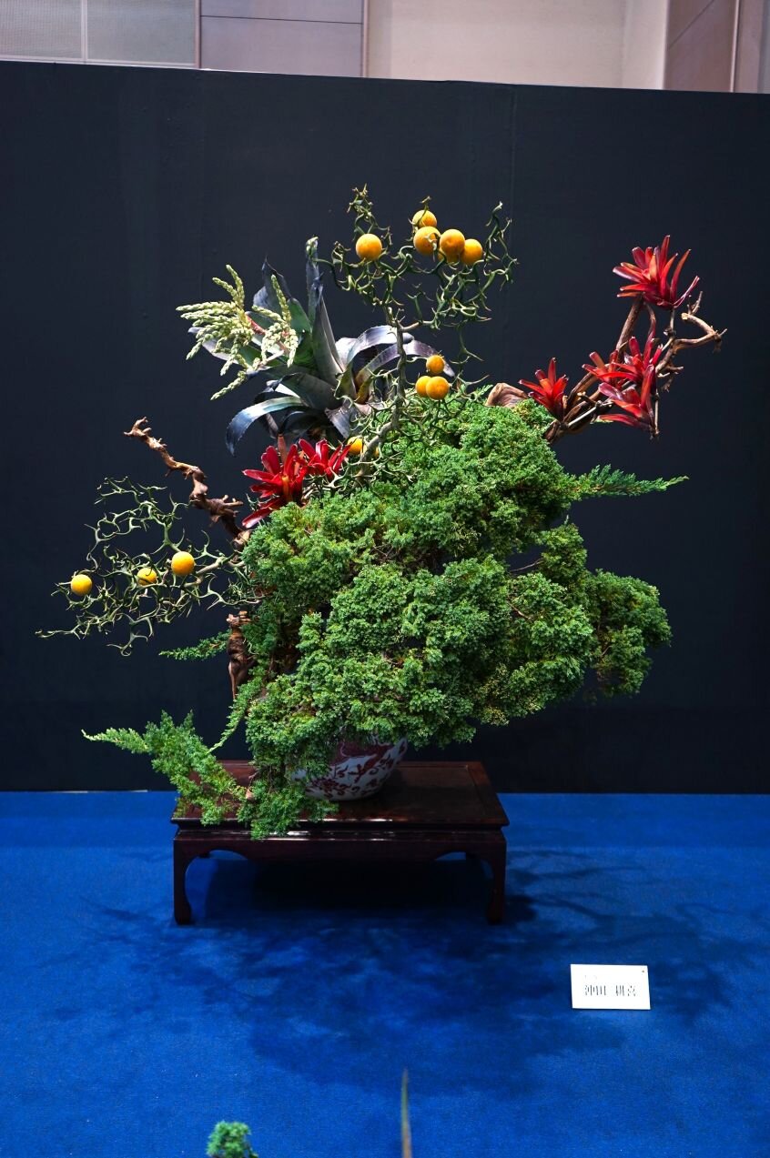 hiroshima_251025 (12).JPG