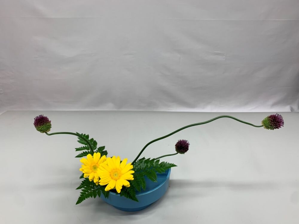 34 数野 菜穂resize.jpg