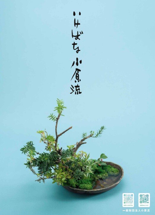 ロゴなし盛花ポスター.jpg